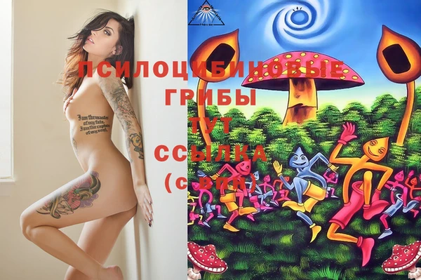прущая мука Алзамай