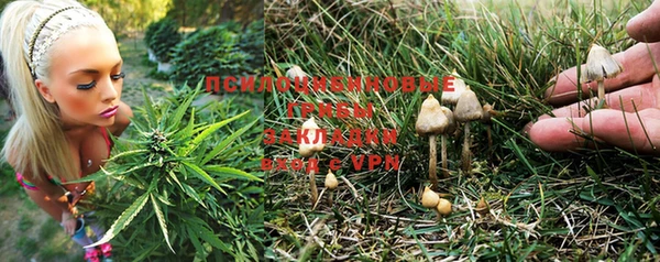 прущая мука Алзамай