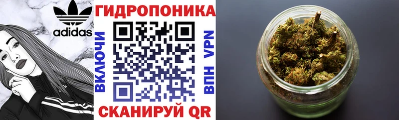 Шишки марихуана семена  сколько стоит  Буй 